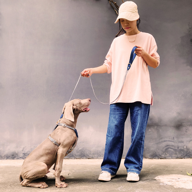 犬 ハーネス なめらか上質ハーネス