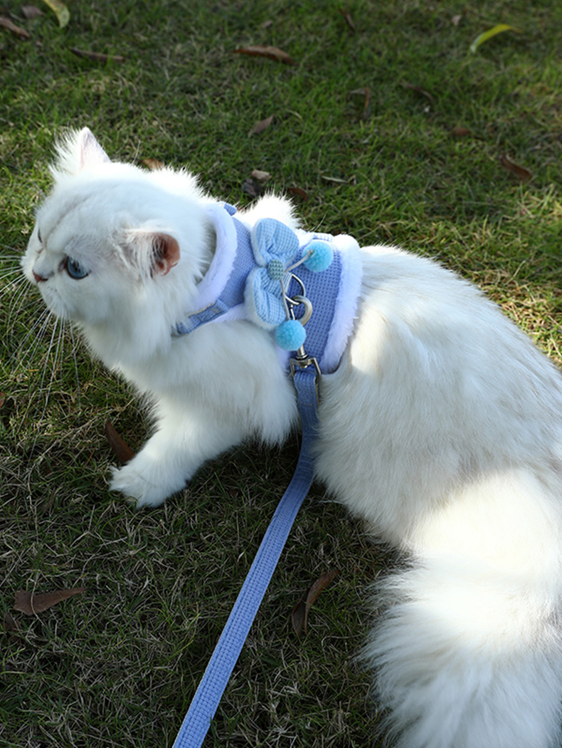 犬 ハーネス 生成エラーです