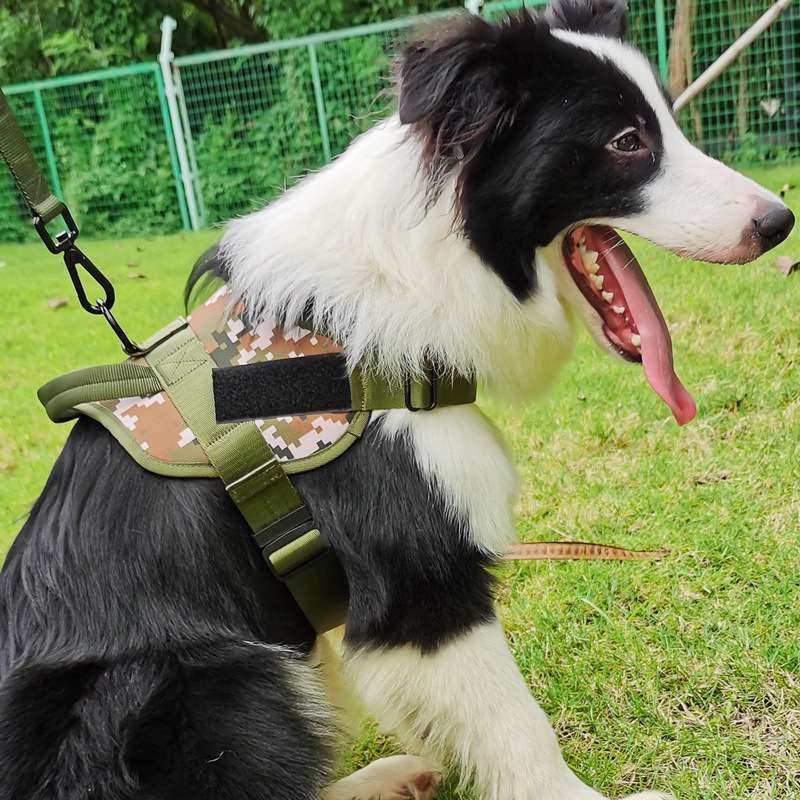 犬 ハーネス サバイバルスタイル 愛犬用ハーネス