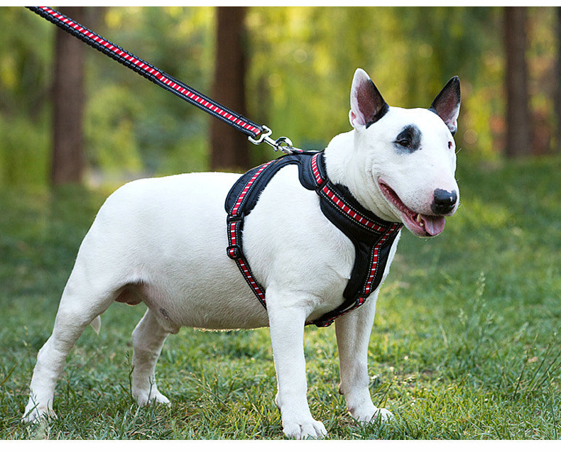 犬 ハーネス スリムフィット アウトドアハーネス
