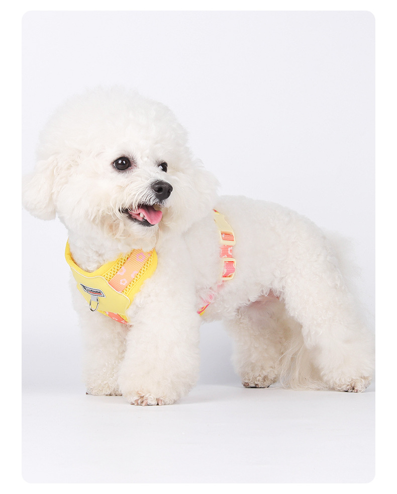 犬 ハーネス やさしい呼吸メッシュハーネス