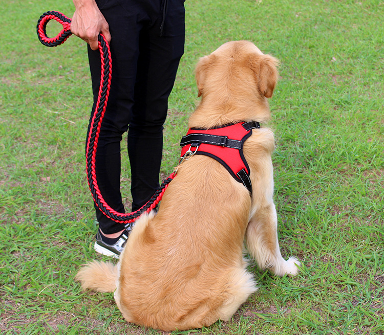 犬 ハーネス 職人手編み散歩ハーネス