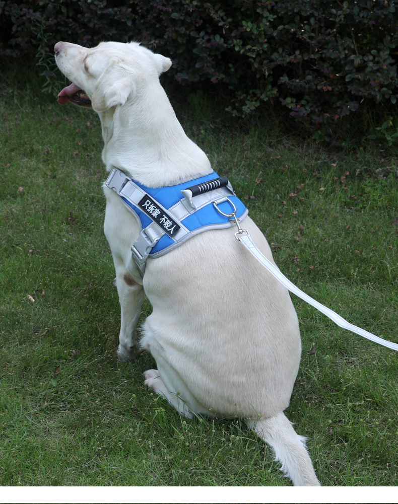 犬 ハーネス やさしさ包む 通気快適ハーネス