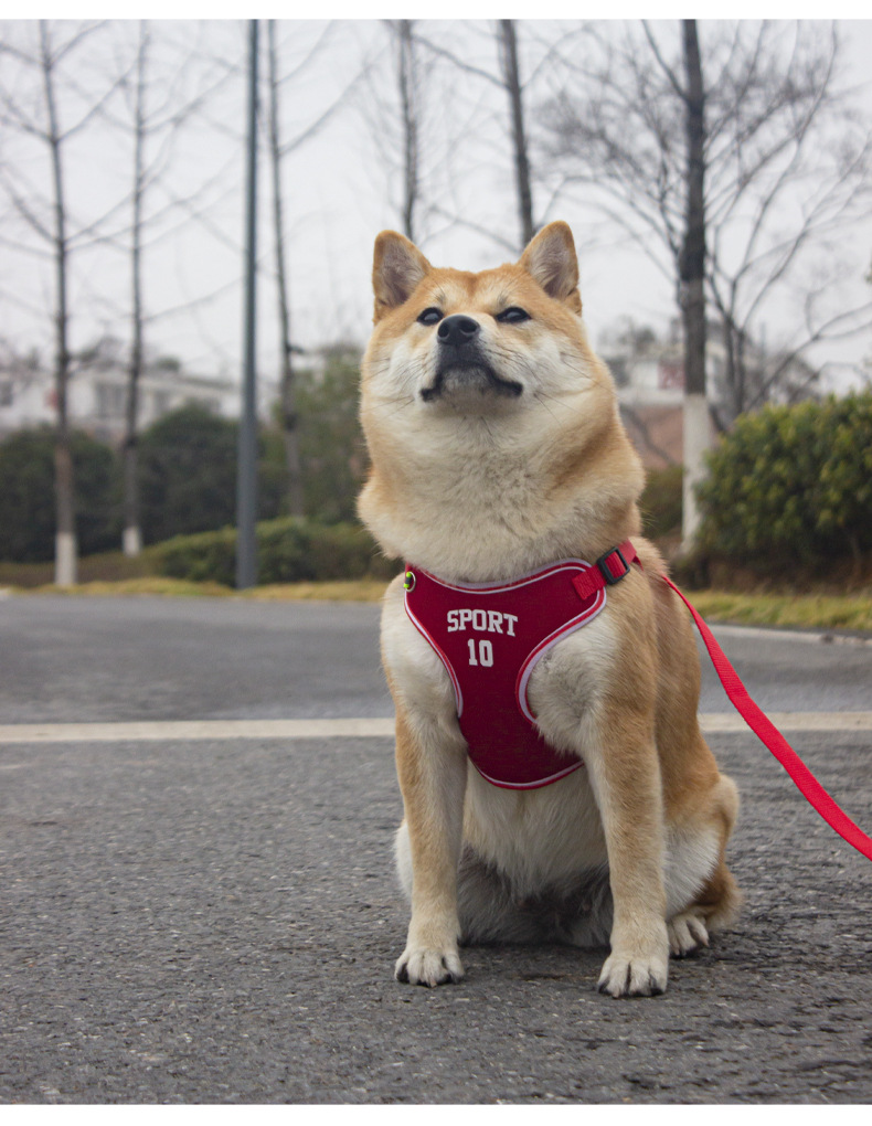 犬 ハーネス アスリートメッシュハーネス