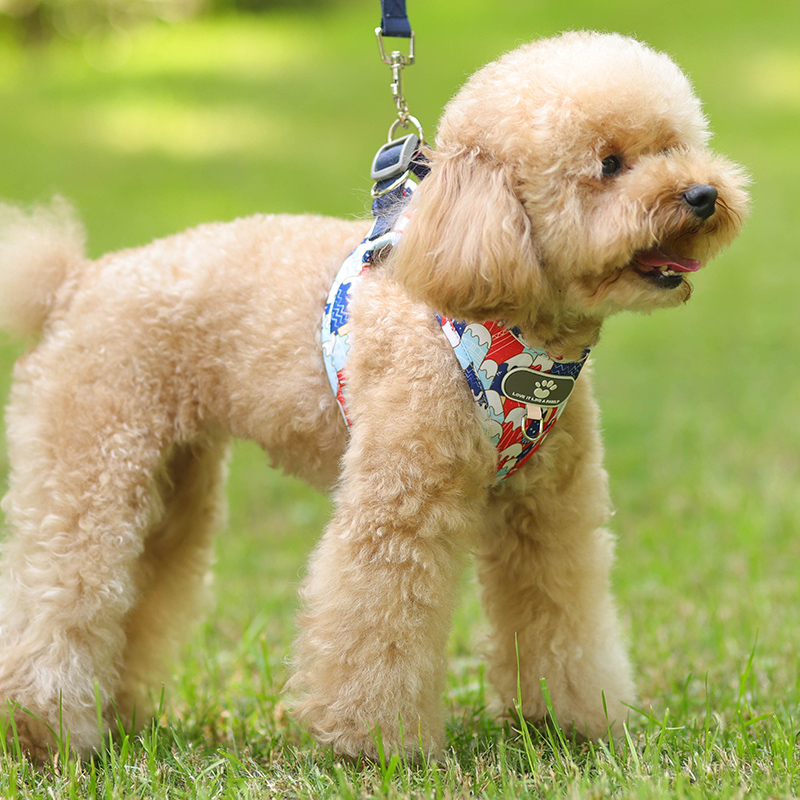 犬 ハーネス 優雅な装いハーネス「もこもこ」