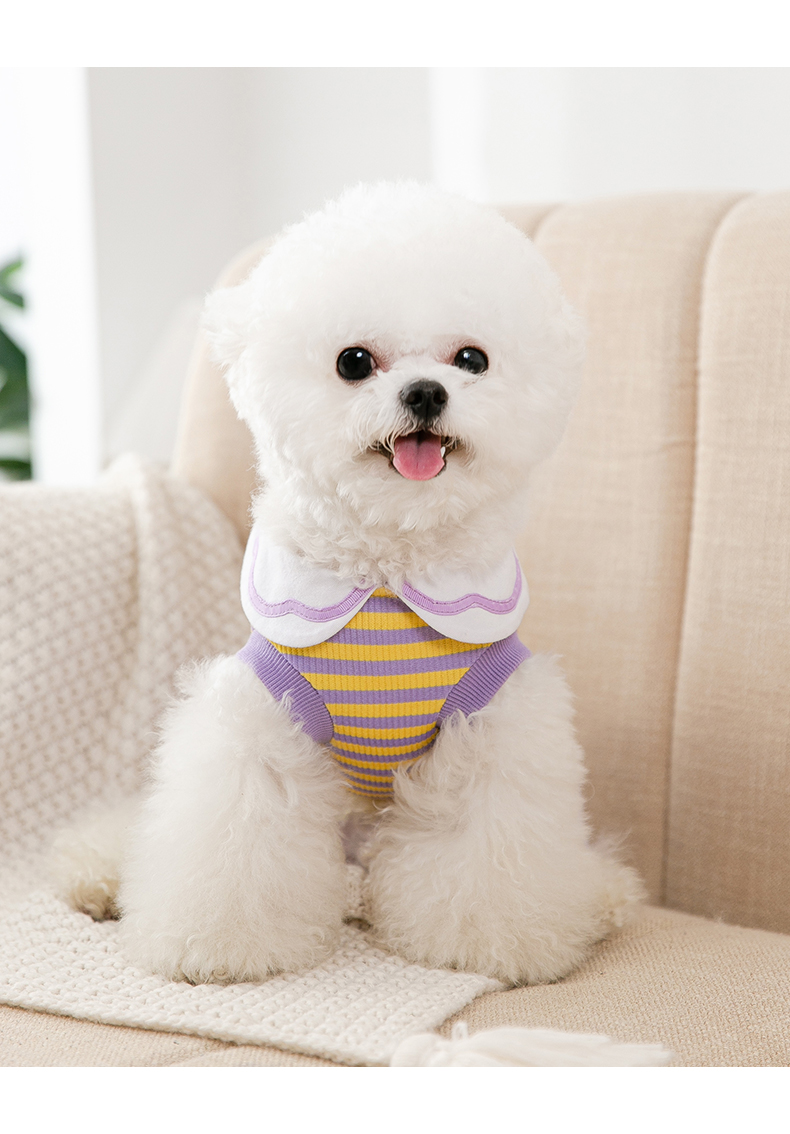 犬 ハーネス くま模様のお散歩用つなぎ
