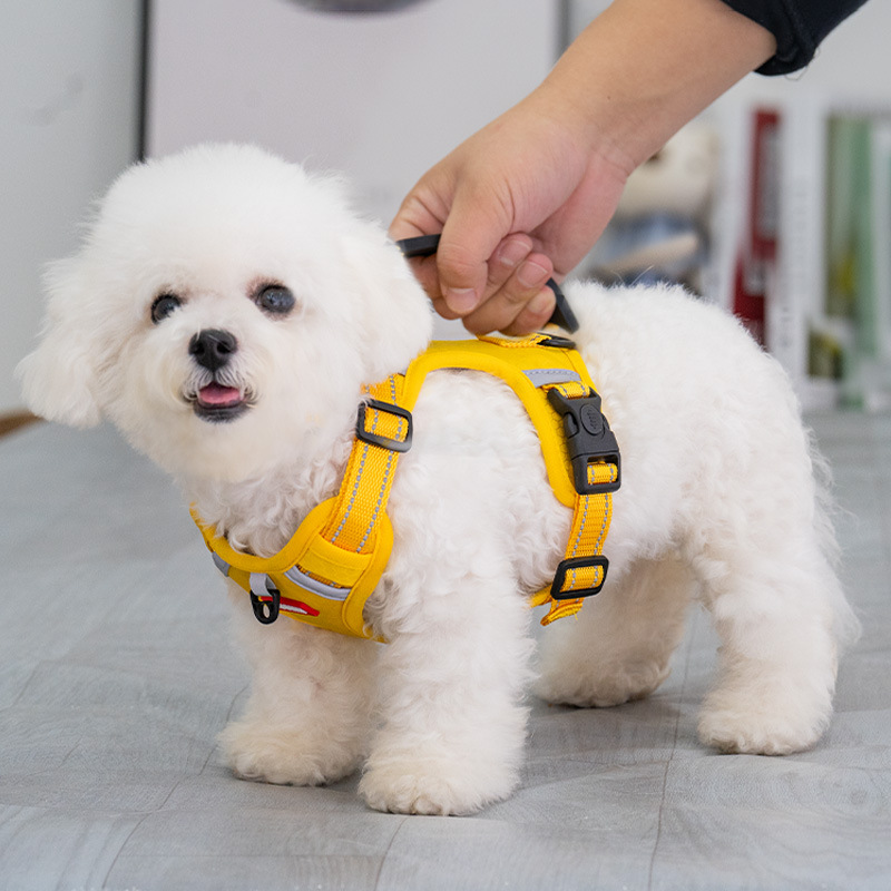 犬 ハーネス 小型犬用全身包み込みタイプ安全ハーネス