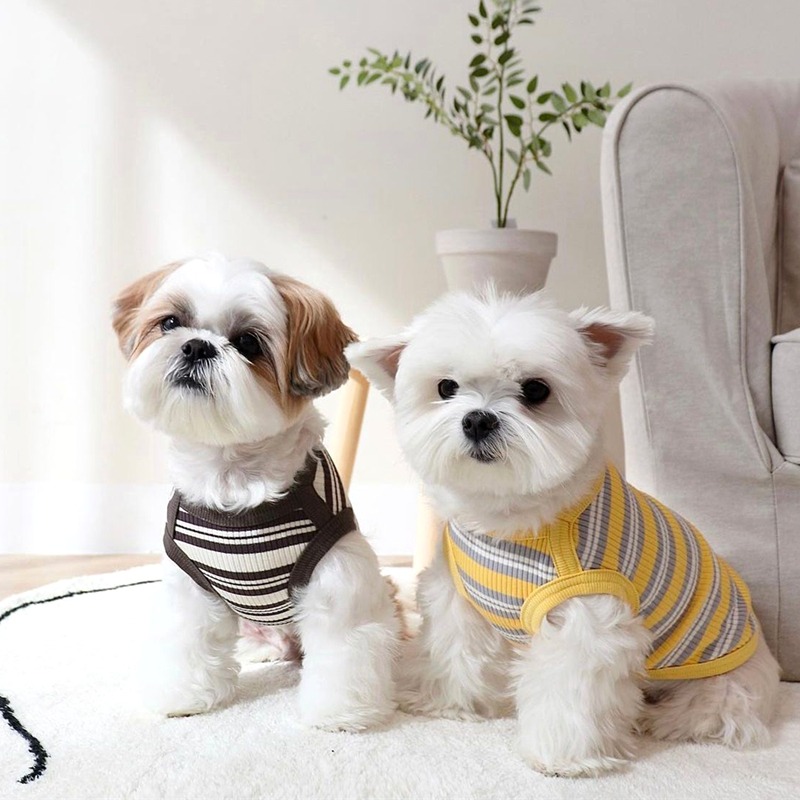 犬 ハーネス やわらかボーダーメッシュハーネス