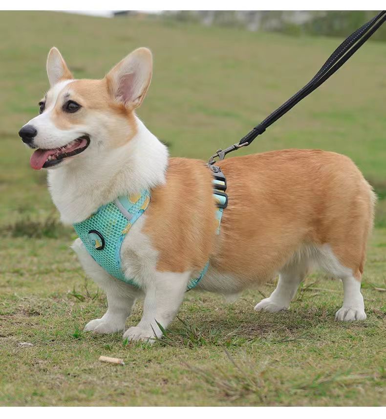 犬 ハーネス メッシュ素材の涼やか散歩ハーネス