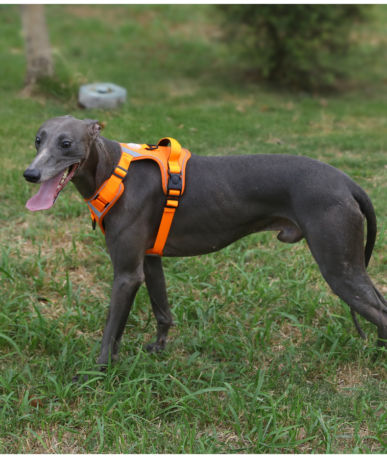 犬 ハーネス 柔らか通気メッシュ快適ハーネス