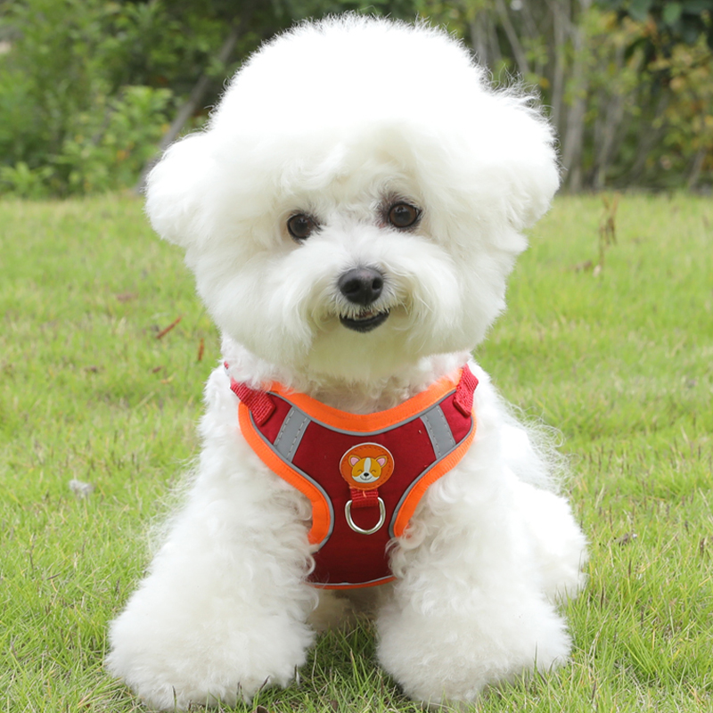 犬 ハーネス やさしい着け心地 ふんわりメッシュハーネス