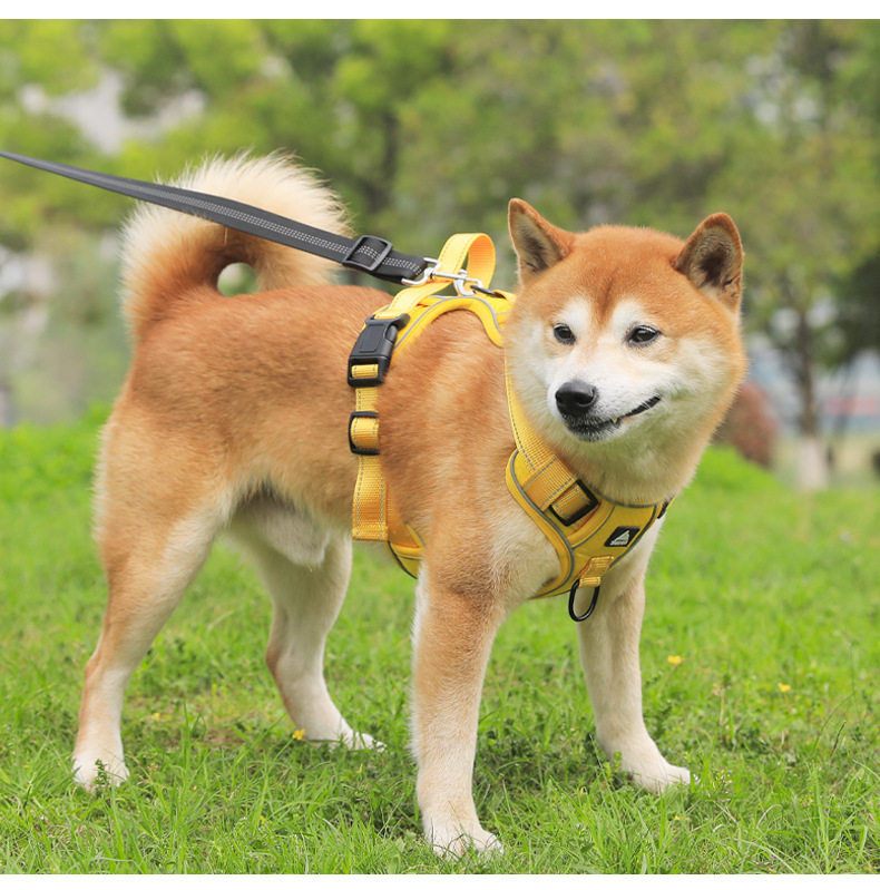 犬 ハーネス 風格漂う職人仕立てハーネス