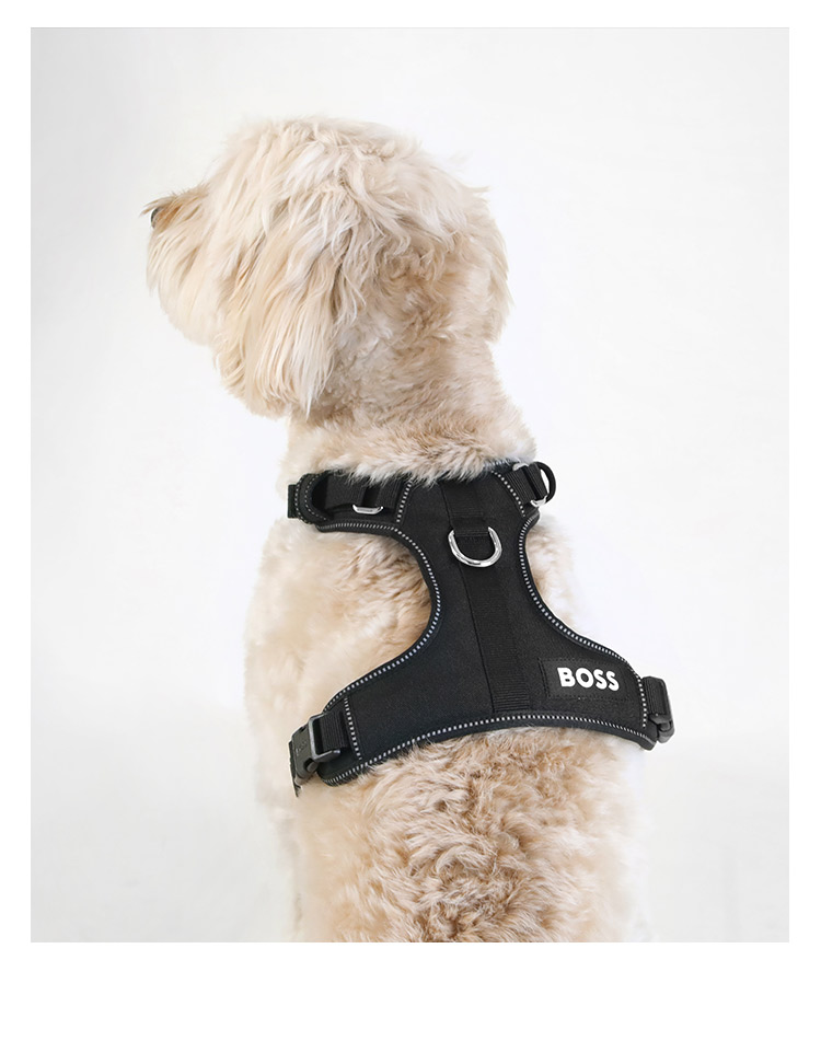 犬 ハーネス アーバンライト フィットハーネス