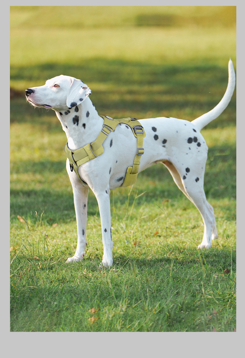 犬 ハーネス 職人の誇り ベーシックハーネス
