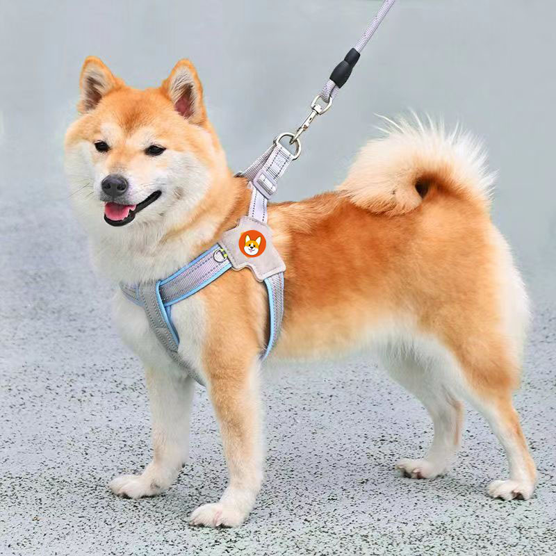 https://fulmo-img-server.com/wonderfulharness/a0519381-0559-4688-a139-dd5128542e6a.jpg