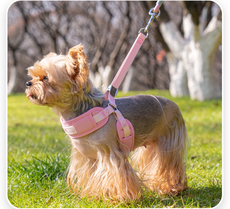 犬 ハーネス なめらかフィット ソフトハーネス