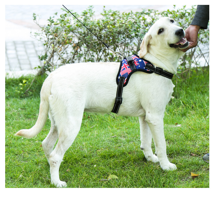 犬 ハーネス 国旗柄 やさしい装着ハーネス