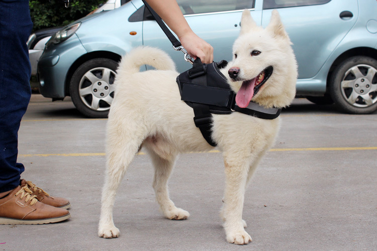 犬 ハーネス なめらか安心ハーネス