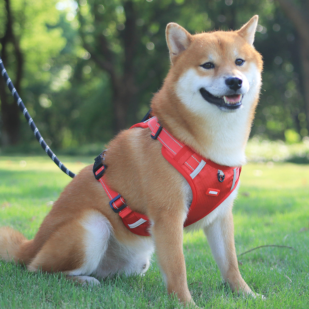 犬 ハーネス シンプル散歩軽量ハーネス