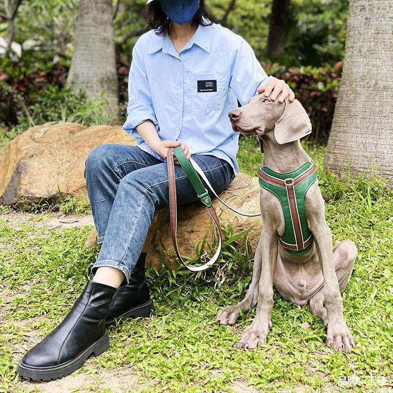 犬 ハーネス 上質な革調ベーシックハーネス