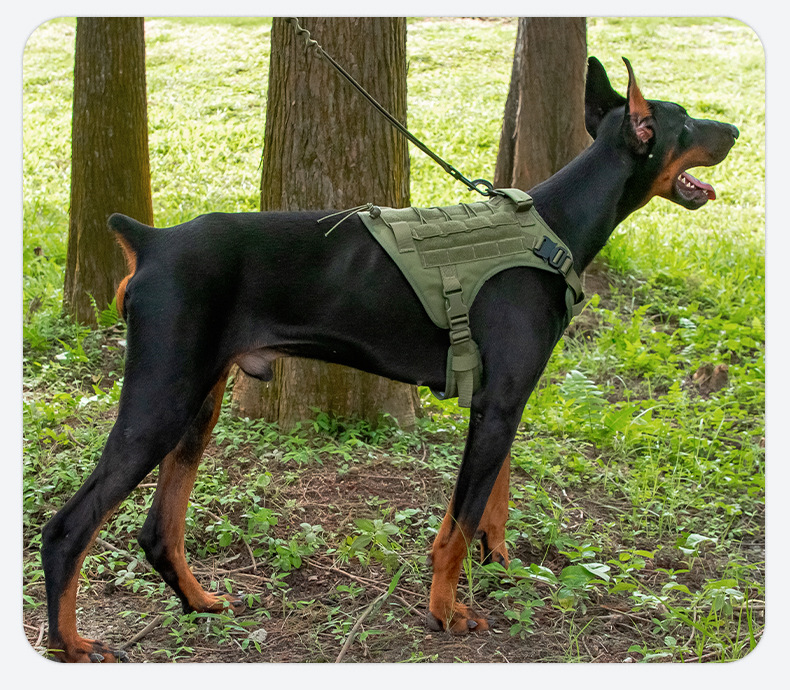 犬 ハーネス シンプル機能性ハーネス 〜軍用チョウカク〜