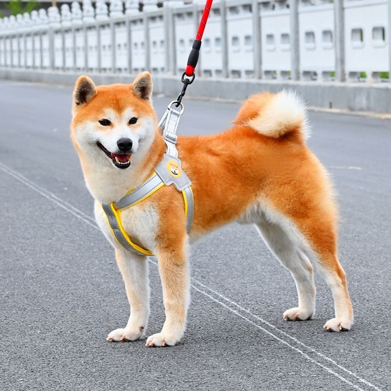 https://fulmo-img-server.com/wonderfulharness/a28db17a-8da3-4da0-ac89-1e36691454c7.jpg