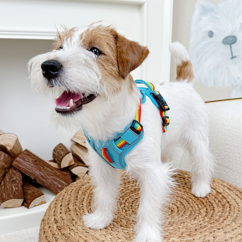 犬 ハーネス シンプル愛犬用ハーネス
