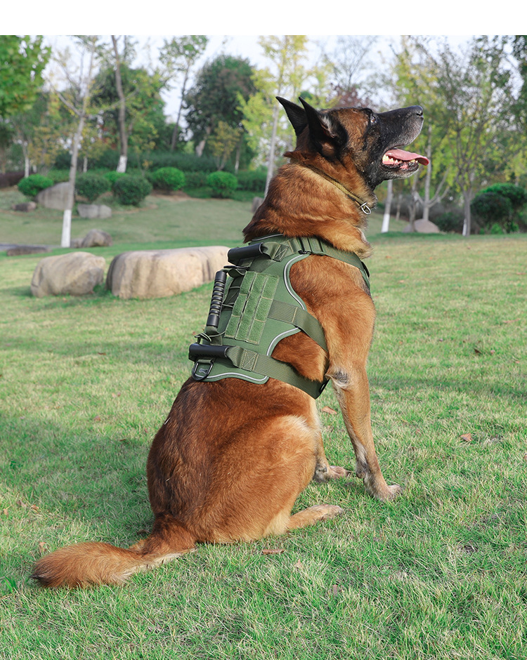 犬 ハーネス アウトドア機能性ハーネス