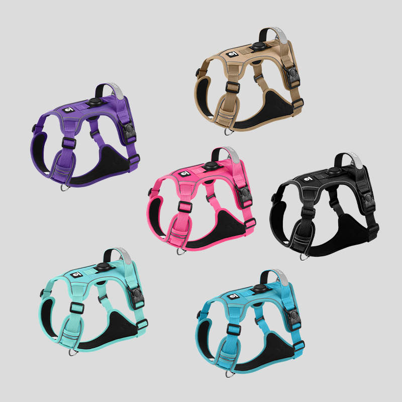https://fulmo-img-server.com/wonderfulharness/a3305cee-86a2-4511-9985-4b1d9a8abe0f.jpg