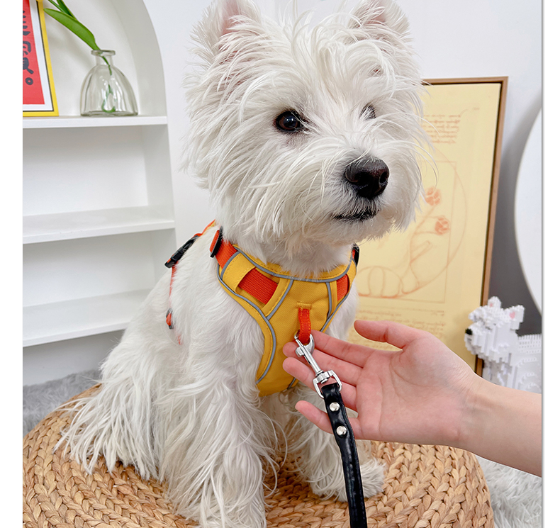 犬 ハーネス 快適おさんぽ職人ハーネス