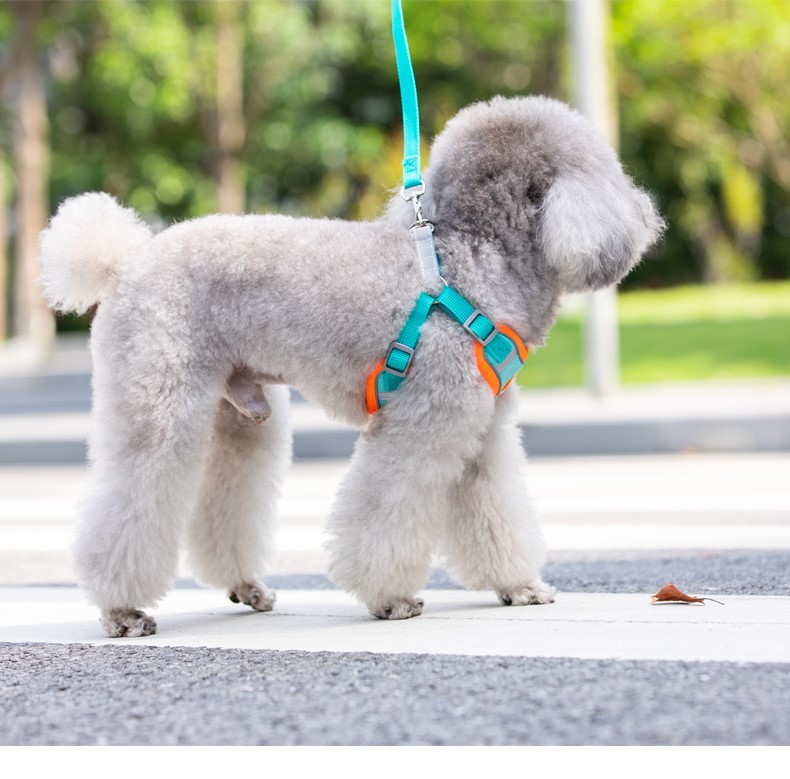 犬 ハーネス やさしい着け心地 ソフトハーネス