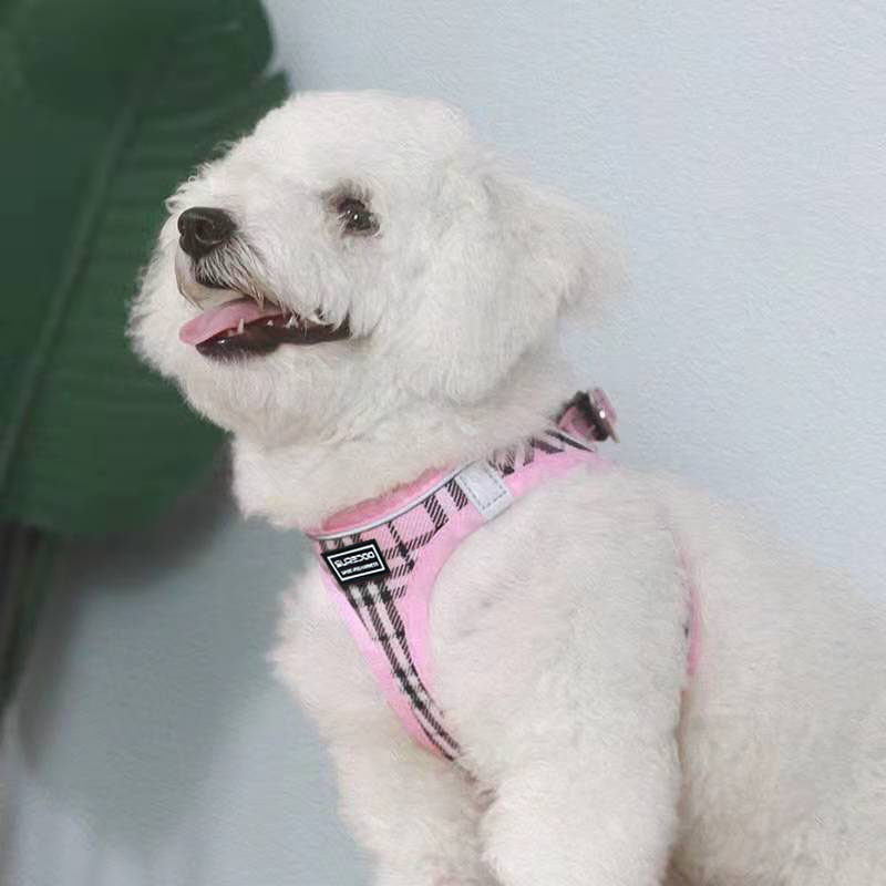 https://fulmo-img-server.com/wonderfulharness/a35ad2d7-b842-4416-9162-4d710a50cc67.jpg