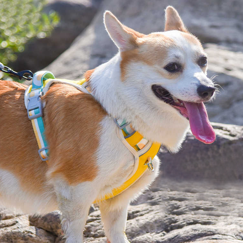犬 ハーネス やさしさ包む ふわり軽量ハーネス