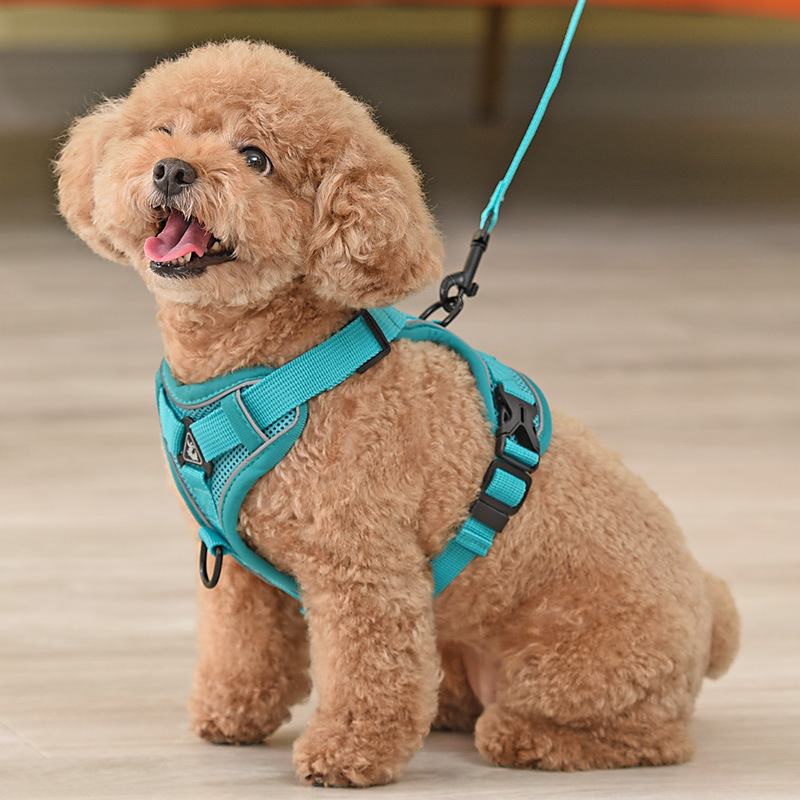 犬 ハーネス やさしさ包む 軽量ハーネス