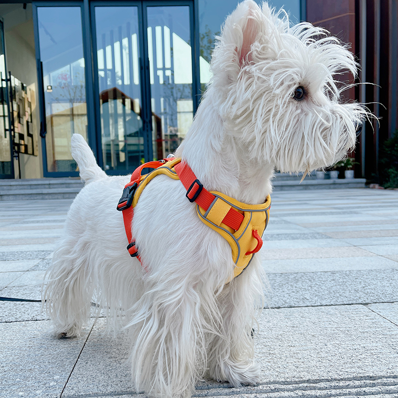 犬 ハーネス 快適おさんぽ職人ハーネス