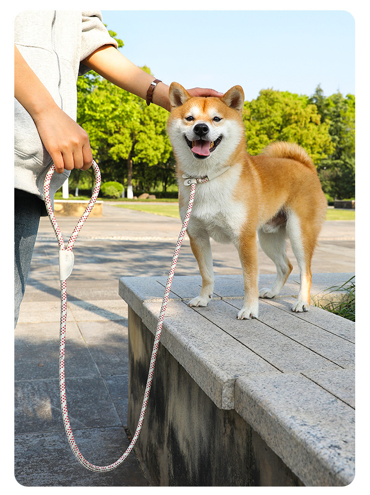 犬 ハーネス 輝きロープリード