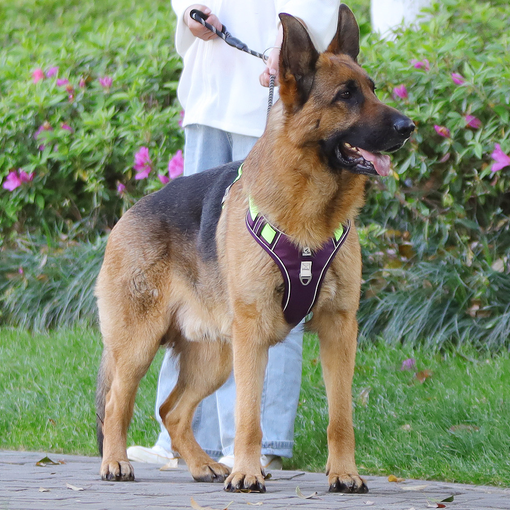 犬 ハーネス なめらかフィット 軽量ハーネス