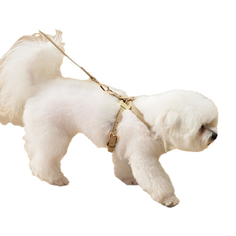 犬 ハーネス やわらか本革首輪セット