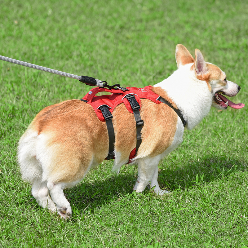 犬 ハーネス あんしん快適ハーネス