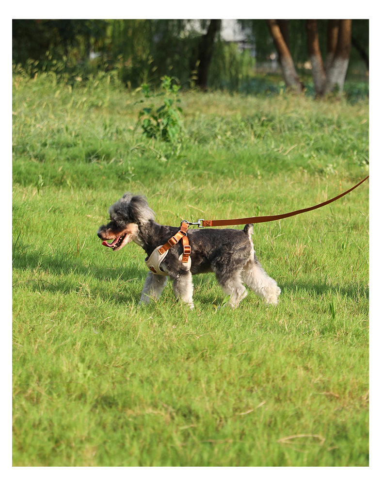 犬 ハーネス 究極の快適さを追求した 匠のハーネス