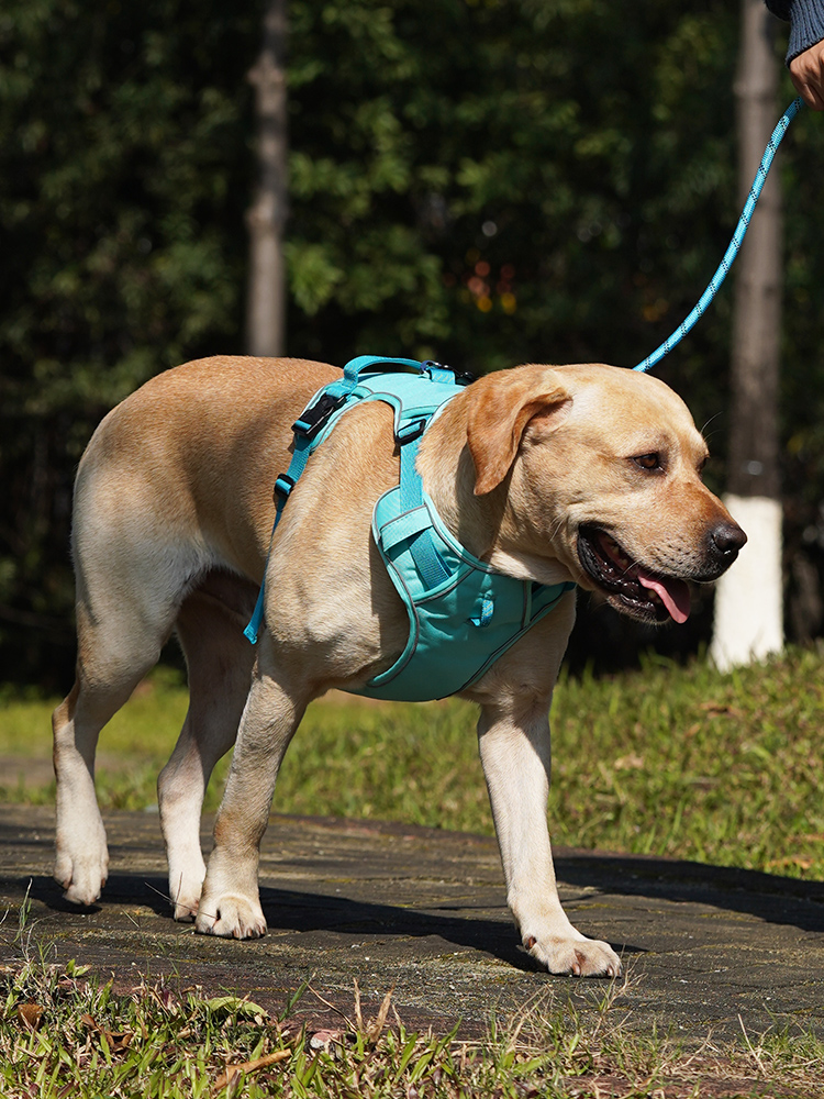 犬 ハーネス 快適おさんぽ 毎日ハーネス