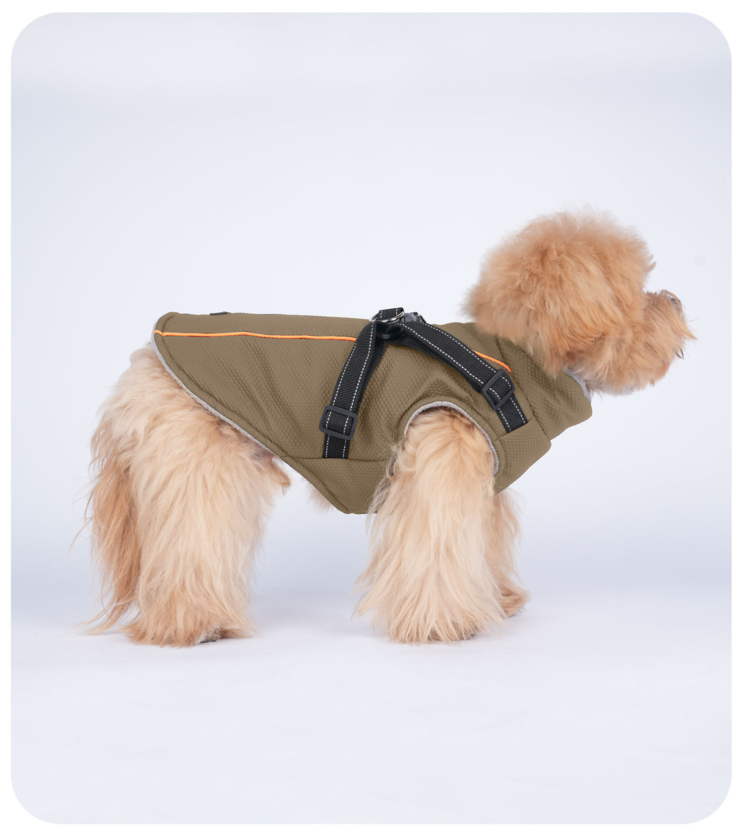 犬 ハーネス ふんわり安心ベーシックハーネス