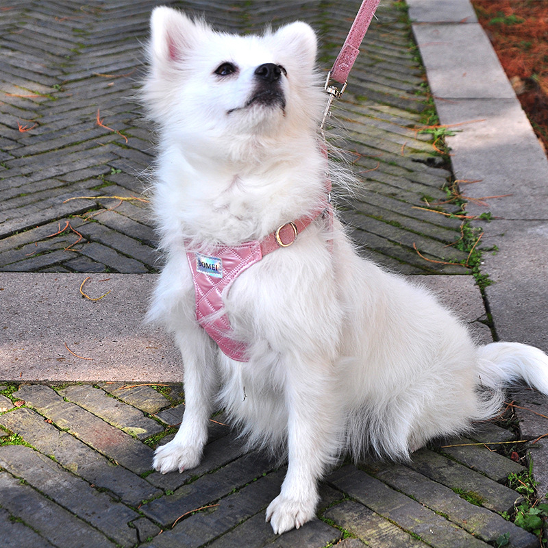 犬 ハーネス キルティングレザー風ハーネス
