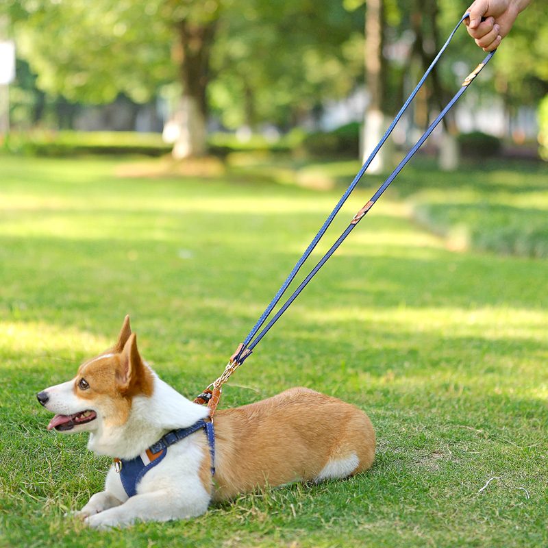 犬 ハーネス やさしい呼吸ゆったりハーネス