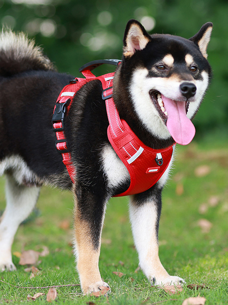 犬 ハーネス やさしい着心地 快適ハーネス