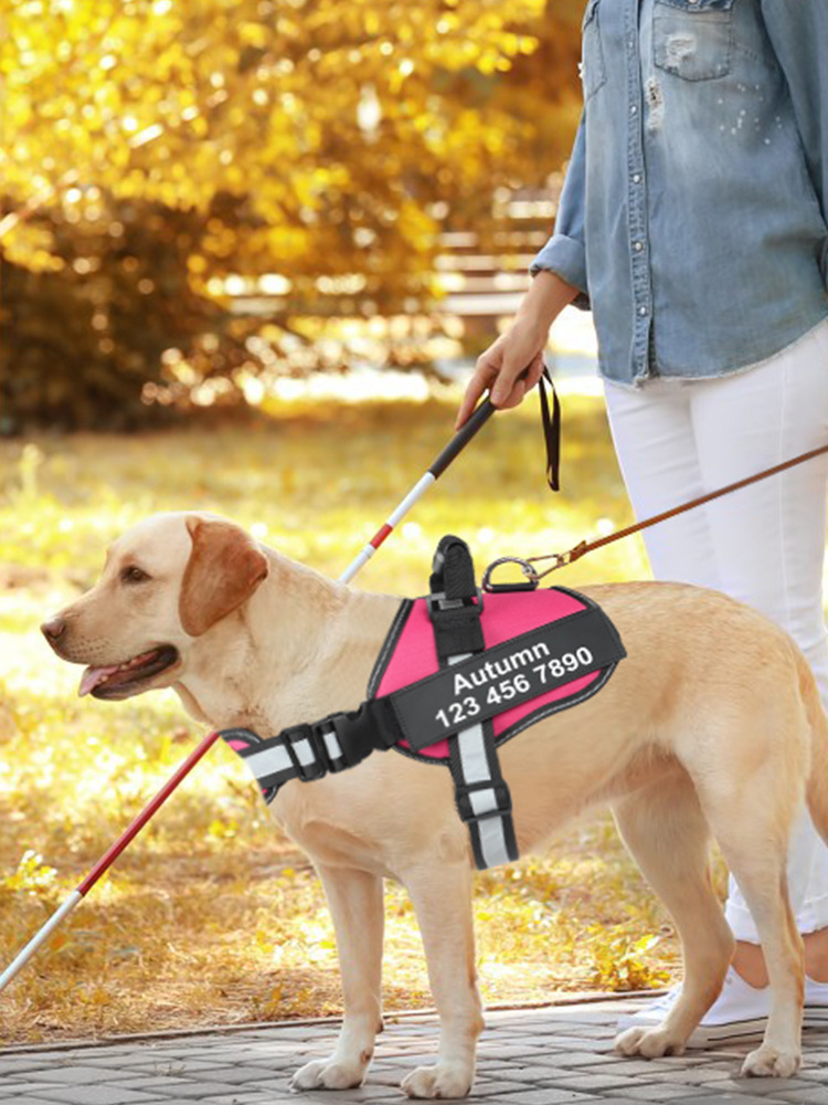 犬 ハーネス 愛犬のお散歩安心プレートハーネス