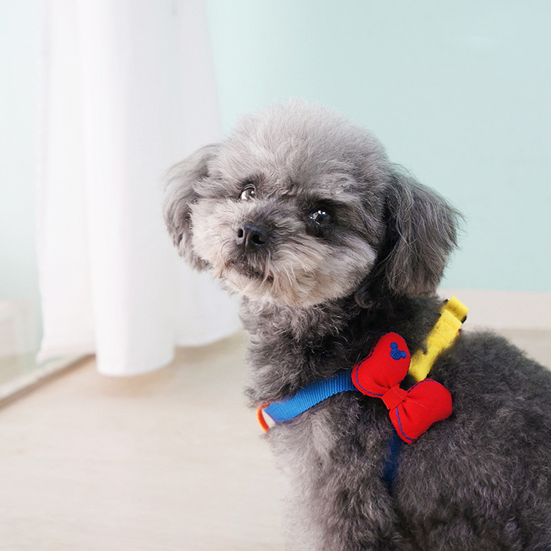 犬 ハーネス やさしさふんわりハーネス