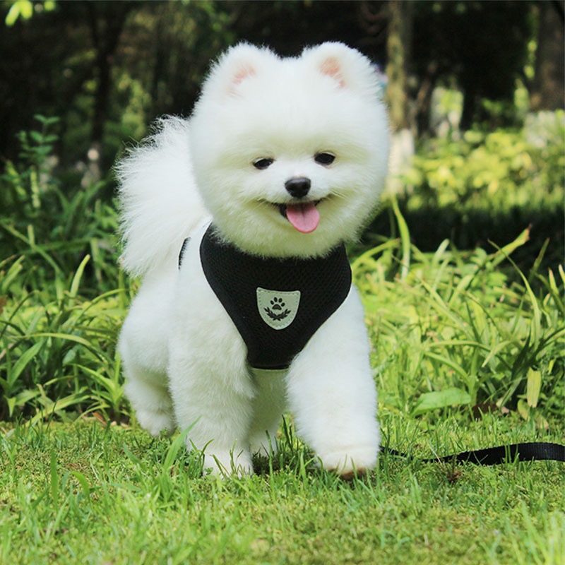 犬 ハーネス もこもこ安心メッシュハーネス