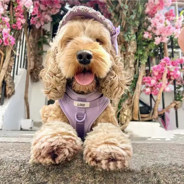 犬 ハーネス やさしさ包む ふわふわハーネスセット