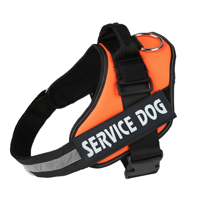 https://fulmo-img-server.com/wonderfulharness/a9cacc68-5fff-4eef-9a8f-d0b09f07848b.jpg